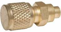 Access Valves